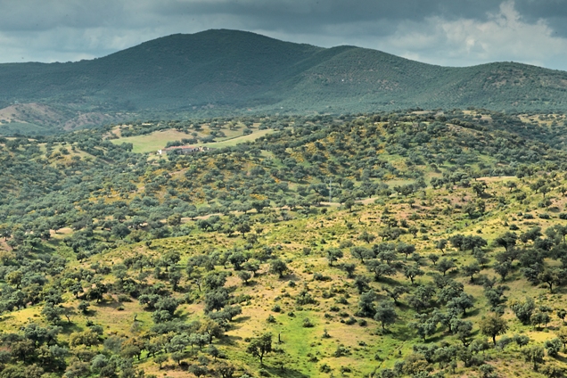 Paisaje