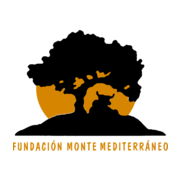 (c) Fundacionmontemediterraneo.com